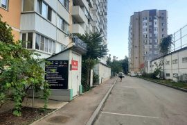 Доктор Лабс, ремонтная мастерская