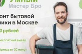 Умный Мастер Бро