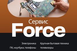 Force