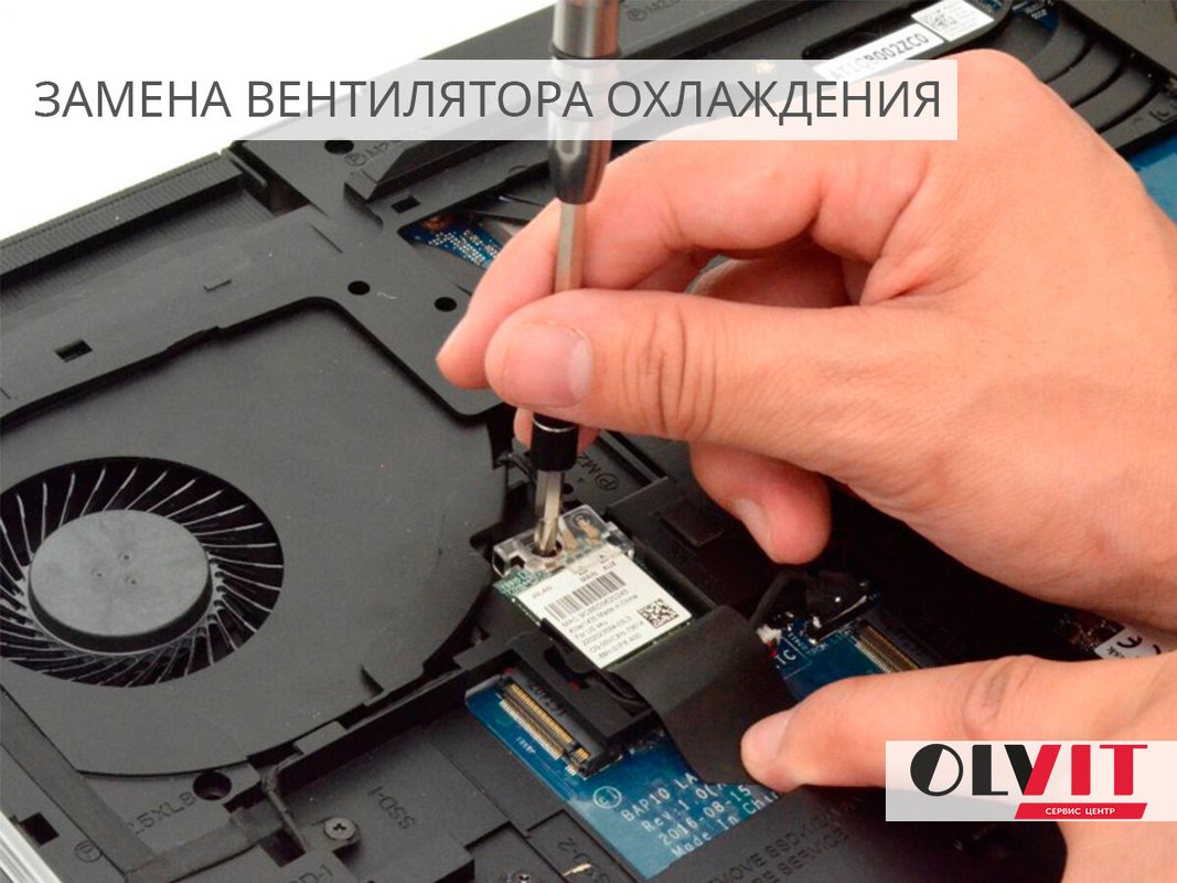 Олвит