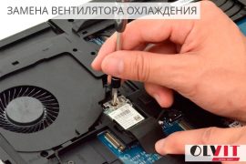Олвит