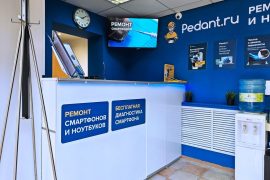 Сервис Pedant.ru