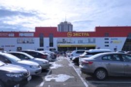 Сервис Pedant.ru
