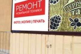 Битроник
