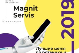 MagnitServis96