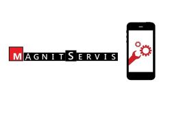 MagnitServis96