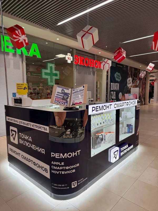 Точка включения