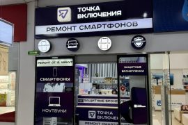 Точка включения