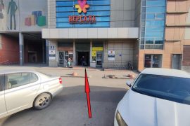 Точка включения