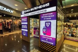Точка включения