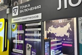 Точка включения