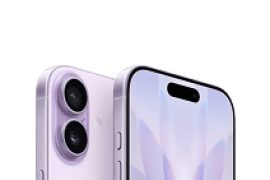 Apple Wild