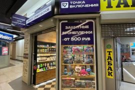 Точка включения