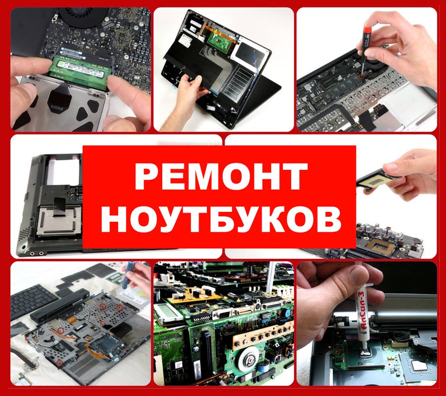 Алеста