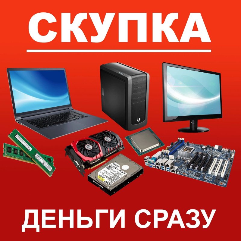Алеста