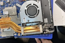 Bios