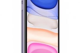 На Витебской Дителл