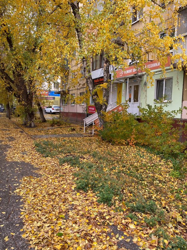 Починим Всё
