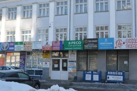 Инстел