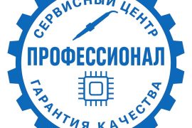 Профессионал