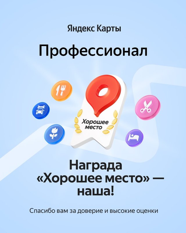 Профессионал