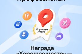 Профессионал