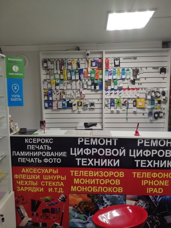 IQService