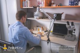 Сервис Pedant.ru