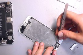 Apple Check