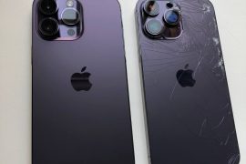 Apple Check