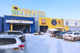Сервис Pedant.ru