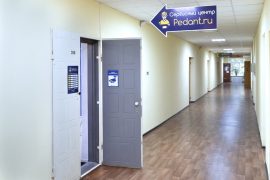 Сервис Pedant.ru