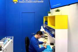 Сервис Pedant.ru