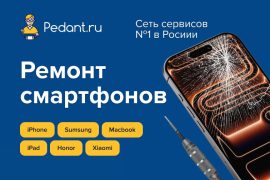 Сервис Pedant.ru