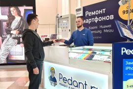 Сервис Pedant.ru