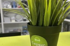 Мой Сервис