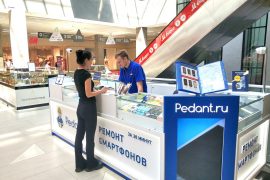 Сервис Pedant.ru