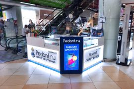 Сервис Pedant.ru