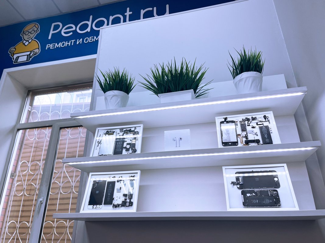 Сервис Pedant.ru