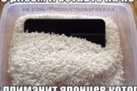 Apple Plus