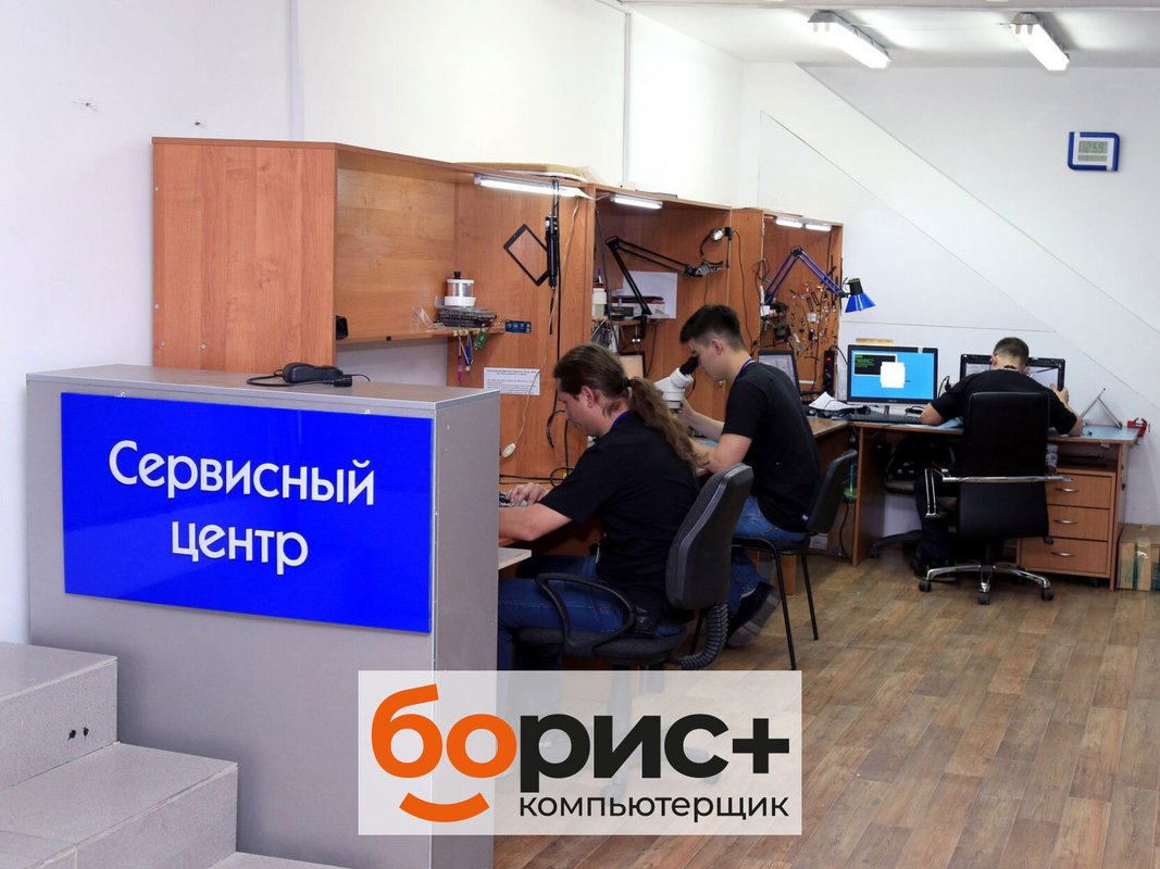 БОРИС+