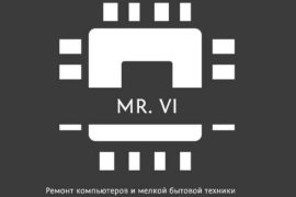 Mr.Vi