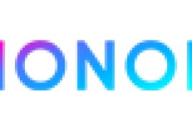 Dvsota