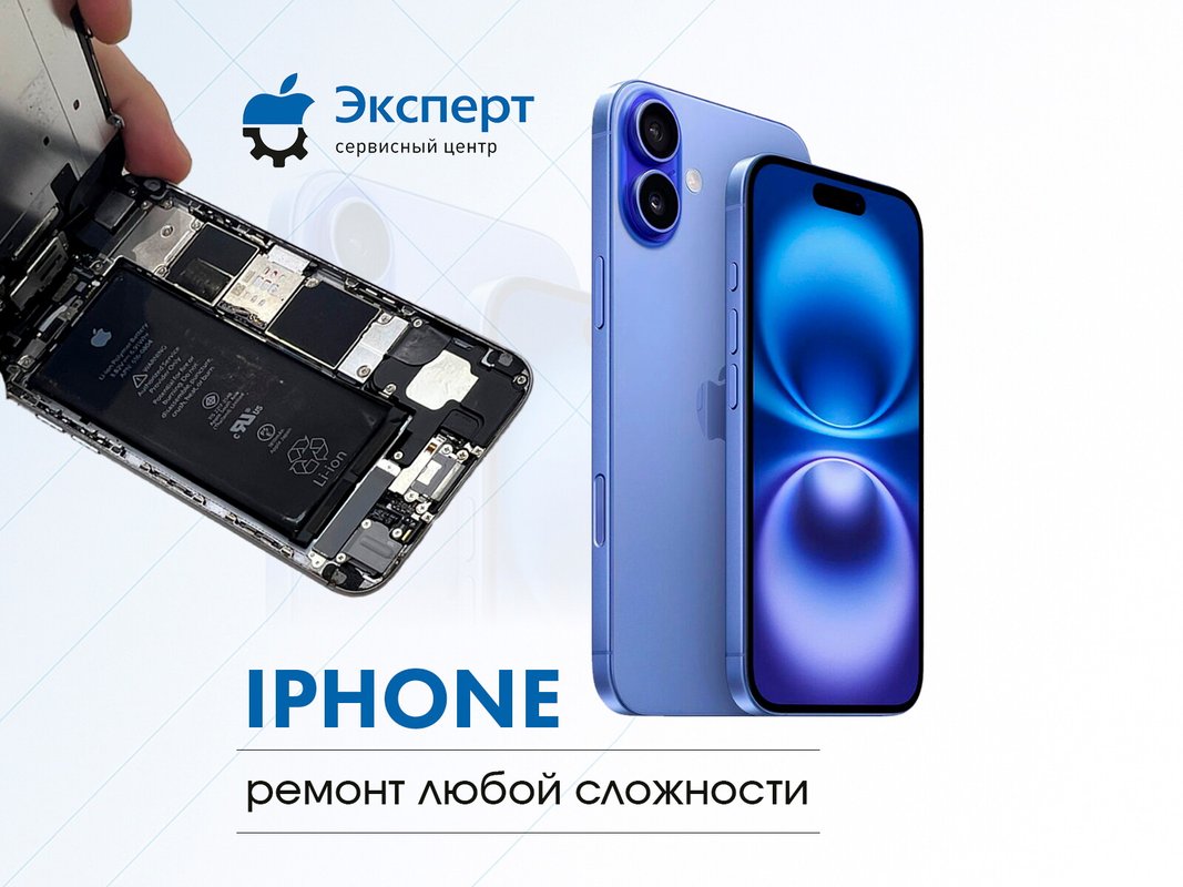 Эксперт
