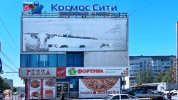 Сервис Pedant.ru