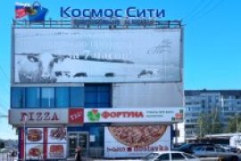 Сервис Pedant.ru