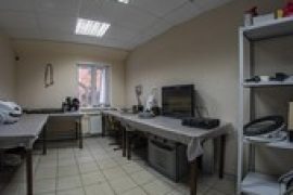 Мастер золотые руки