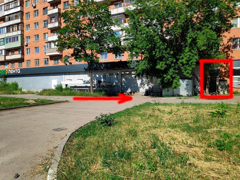 Вектор