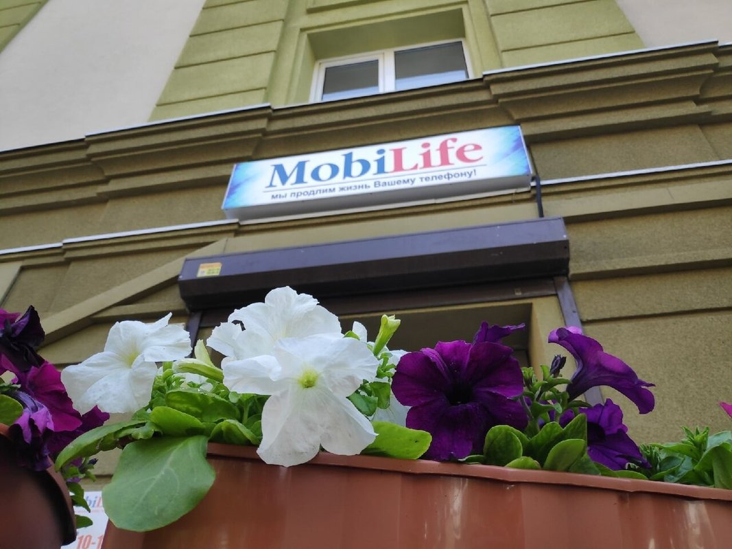 MobiLife