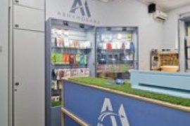 Авиамобайл